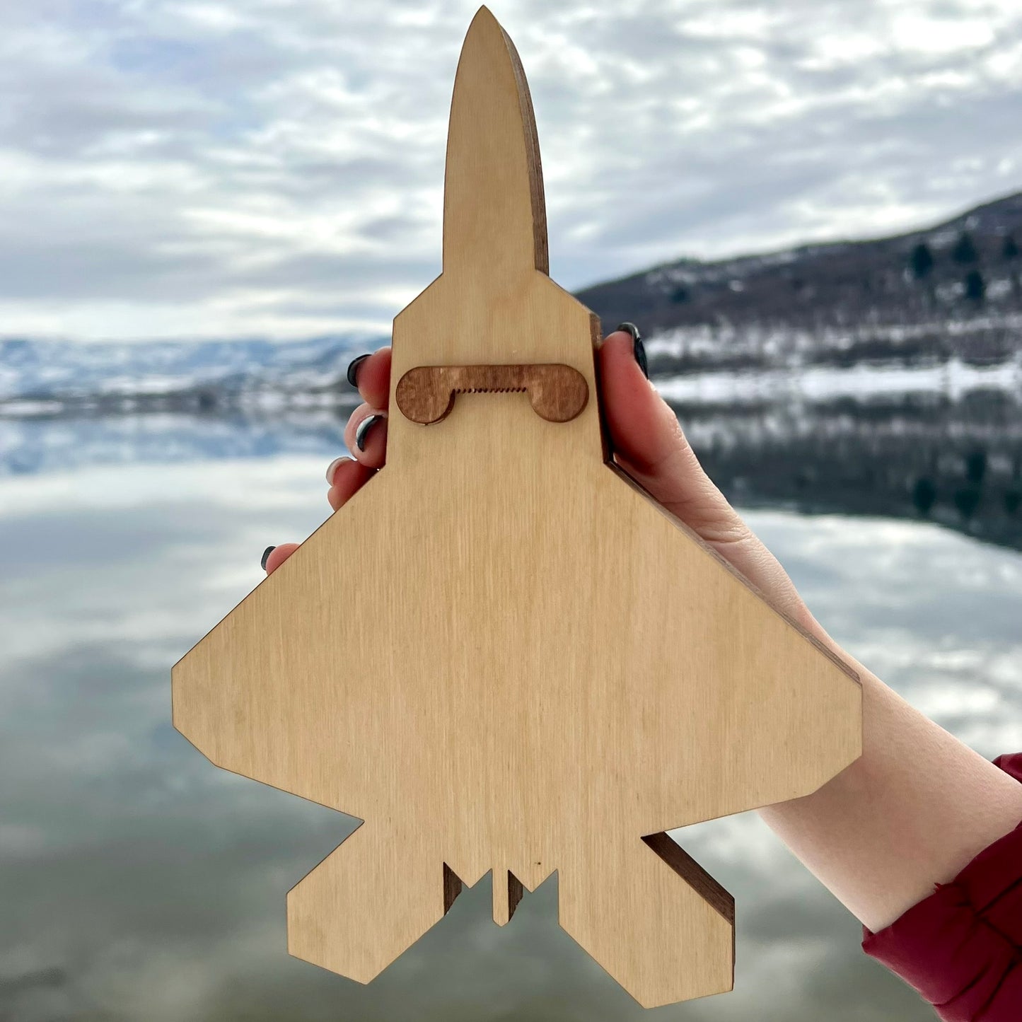 F-22 Beach Scene 3D Layered Silhouette